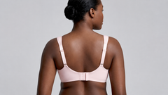 Rose Red | Back